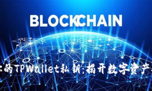 如何保护你的TPWallet私钥:揭开数字资产安全的秘密