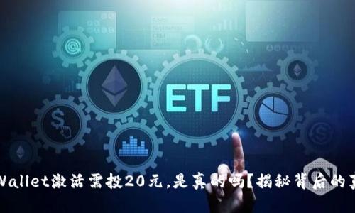 TPWallet激活需投20元,是真的吗?揭秘背后的真相