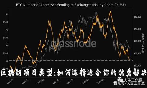 探索区块链项目类型：如何选择适合你的优秀解决方案