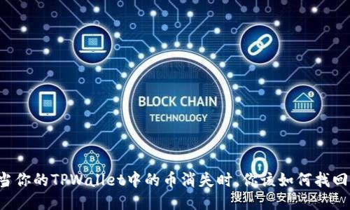 当你的TPWallet中的币消失时,你该如何找回?