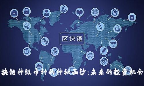 揭开区块链神级币种的神秘面纱：未来的投资机会与挑战