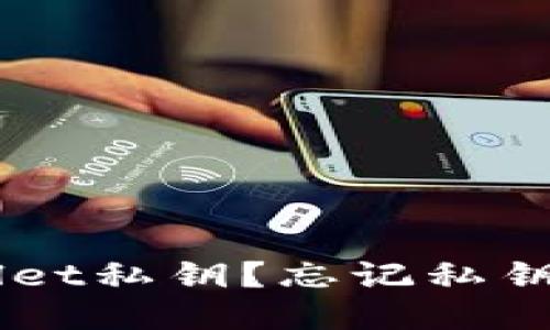 如何找回TP Wallet私钥?忘记私钥的用户必看技巧!