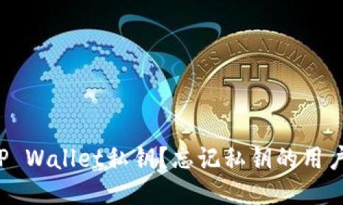 如何找回TP Wallet私钥?忘记私钥的用户必看技巧!