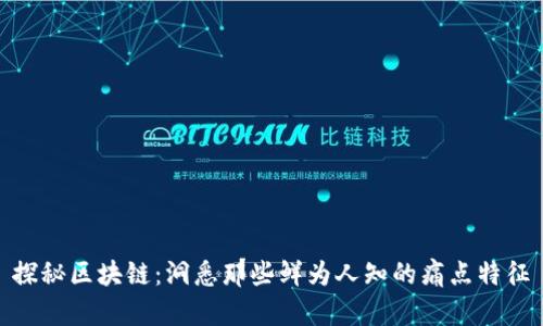 探秘区块链:洞悉那些鲜为人知的痛点特征