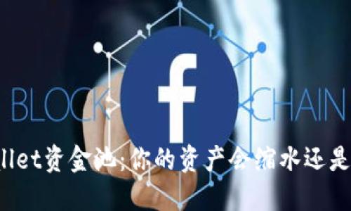 TPWallet资金池:你的资产会缩水还是增值?