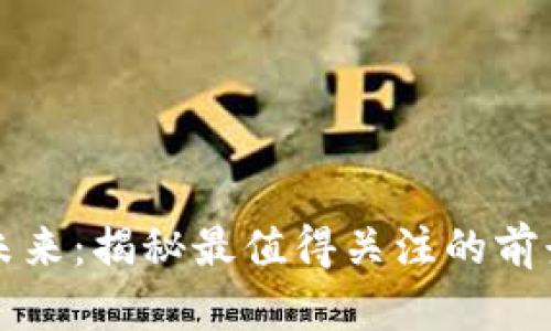 区块链的未来:揭秘最值得关注的前景解析网站