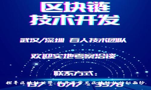 探寻区块链世界:揭开最常见区块链的神秘面纱