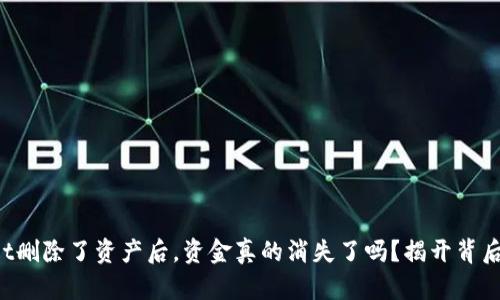 TPWallet删除了资产后，资金真的消失了吗？揭开背后的秘密！