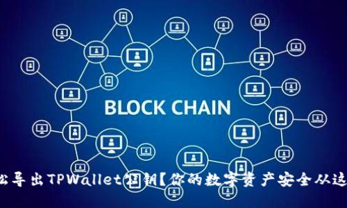 如何轻松导出TPWallet公钥？你的数字资产安全从这里开始！