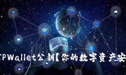 如何轻松导出TPWallet公钥？你的数字资产安全从这里开始！