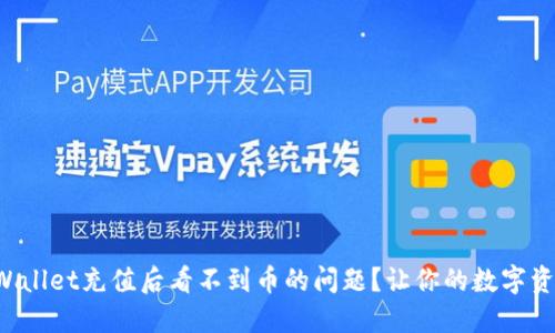 如何解决TPWallet充值后看不到币的问题？让你的数字资产轻松显现！