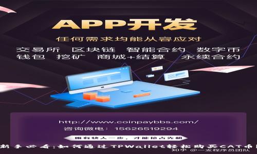 新手必看：如何通过TPWallet轻松购买CAT币？