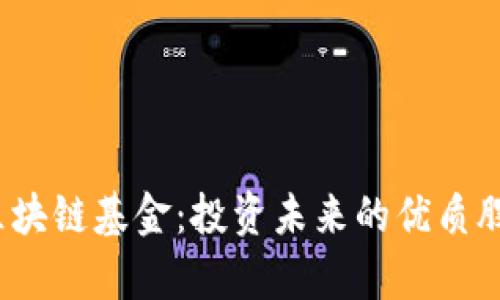 揭秘欧洲区块链基金:投资未来的优质股票有哪些?