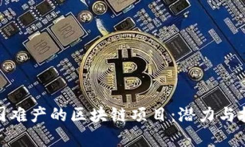 探索美国难产的区块链项目:潜力与挑战并存