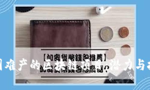 探索美国难产的区块链项目:潜力与挑战并存
