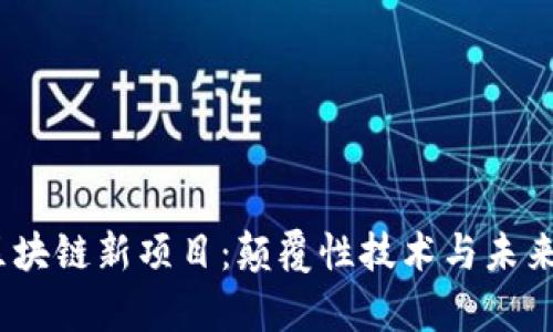 揭秘2023年度区块链新项目：颠覆性技术与未来机遇的奇妙融合