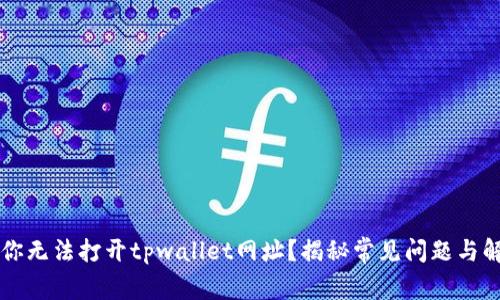 为什么你无法打开tpwallet网址？揭秘常见问题与解决方案
