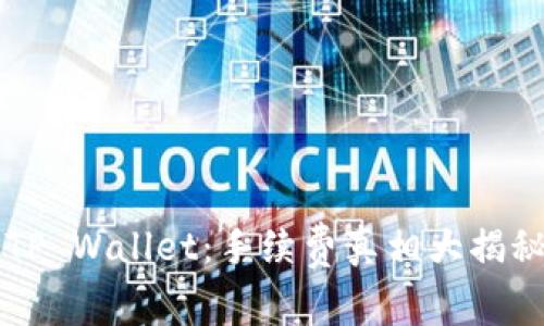 揭秘BNB与TP Wallet：手续费真相大揭秘，别被坑了！
