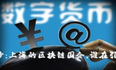 揭开神秘面纱：上海的区
