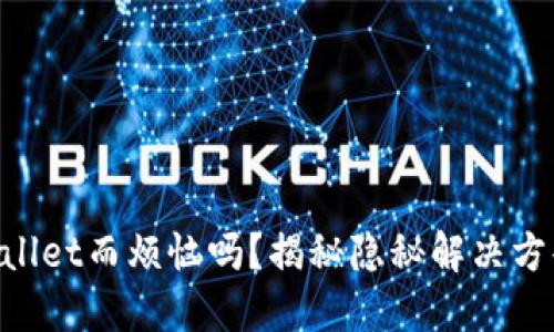  你还在为找不到TPWallet而烦恼吗？揭秘隐秘解决方案，重拾钱包的安心感！
