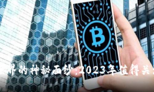 揭开区块链世界的神秘面纱：2023年值得关注的热门项目