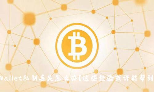 TPWallet私钥丢失怎么办？这些经验或许能帮到你！