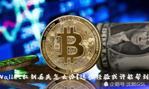 TPWallet私钥丢失怎么办？这些经验或许能帮到你！