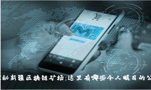 : 探秘新疆区块链矿场:这里有哪些令人瞩目的公司?