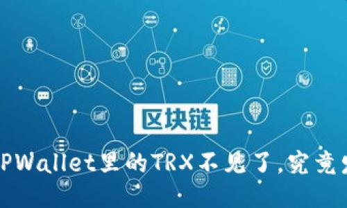 惊慌失措？TPWallet里的TRX不见了，究竟发生了什么？