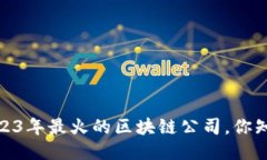 揭秘：2023年最火的区块链