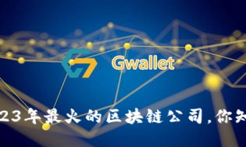 揭秘：2023年最火的区块链公司，你知道几个？