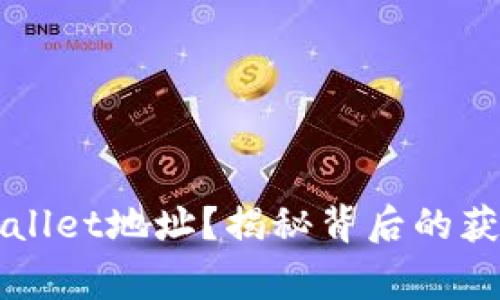如何快速找到TPWallet地址?揭秘背后的获取技巧与注意事项