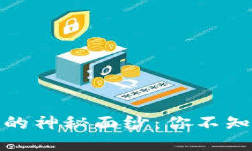 揭开区块链开发的神秘面纱：你不知道的开发者群体