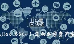 探索TPWallet BSC-1：您的加密