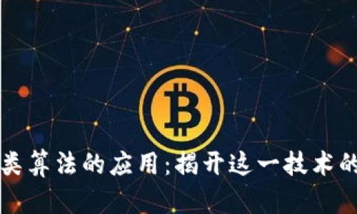 区块链归类算法的应用:揭开这一技术的神秘面纱