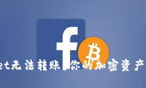 TPWallet无法转账？你的加密资产安全吗？