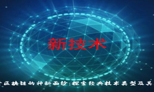 揭开区块链的神秘面纱:探索经典技术类型及其应用