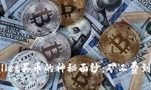 揭开TPWallet买币的神秘面纱:矿工费到底是什么?