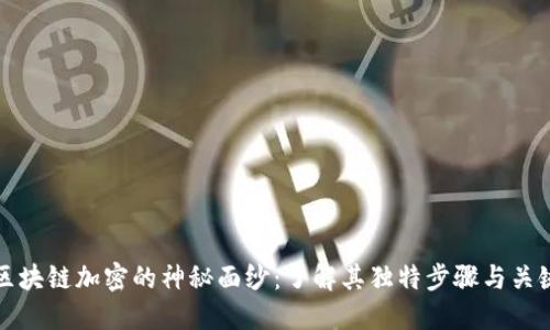 揭开区块链加密的神秘面纱:了解其独特步骤与关键特点