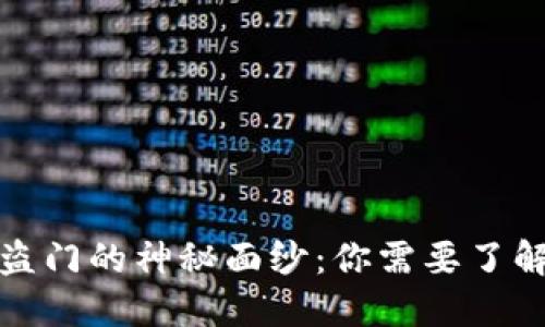 揭开区块链防盗门的神秘面纱:你需要了解的安全新选择