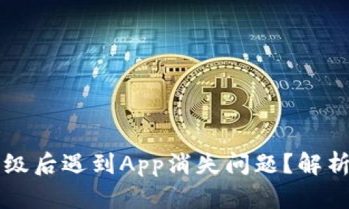TPWallet升级后遇到App消失问题？解析与解决方案