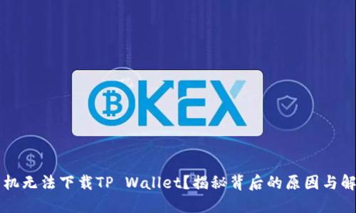苹果手机无法下载TP Wallet?揭秘背后的原因与解决方法