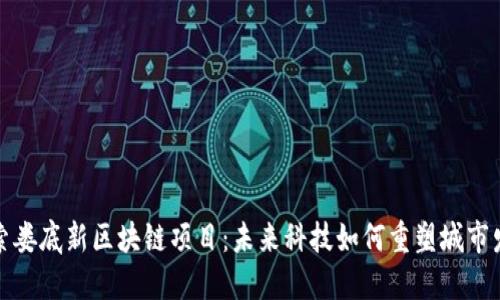 探索娄底新区块链项目:未来科技如何重塑城市发展