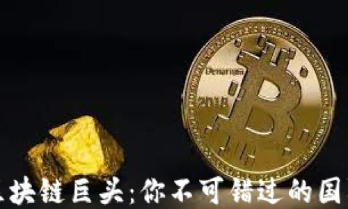 探索全球区块链巨头:你不可错过的国际主流公司