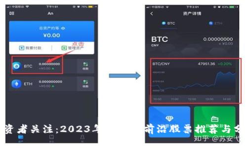 投资者关注：2023年区块链前沿股票推荐与分析