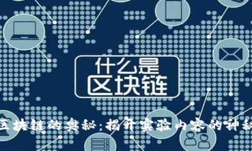 探索区块链的奥秘:揭开实验内容的神秘面纱