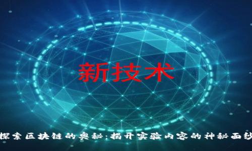 探索区块链的奥秘:揭开实验内容的神秘面纱