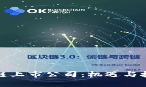 探索香港区块链上市公司:机遇与挑战交织的未来