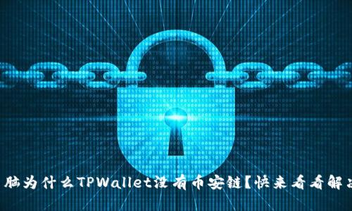 你的电脑为什么TPWallet没有币安链?快来看看解决方法!