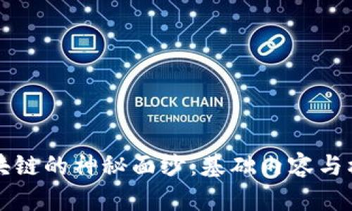 揭开区块链的神秘面纱：基础内容与核心特点
